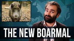 Video post by @smn on YouTube