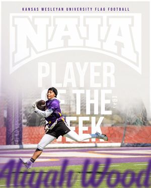 Image post by @kwucoyotes on Instagram
