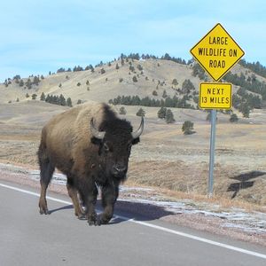 Image post by @nationalparkservice on Instagram