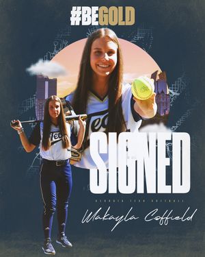 Image post by @gatechsoftball on Instagram