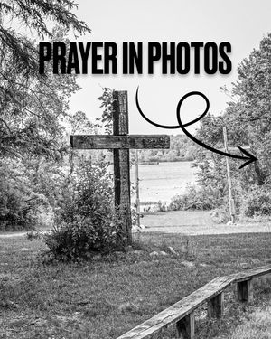 Image post by @jmpicsig on Instagram