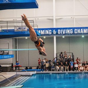 Image post by @canesswimdive on Instagram