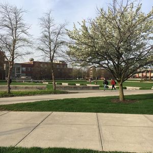 Image post by @uindywlax on Instagram