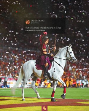 Image post by @uscwbb on Instagram