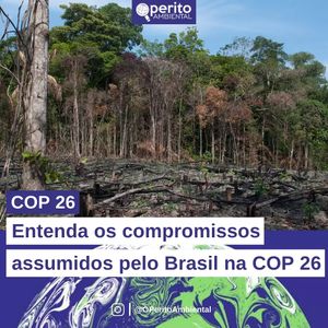 Image post by @operitoambiental on Instagram