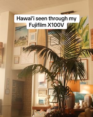 Video post by @andrewkhauv on TikTok