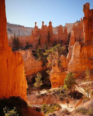 Image post by @nationalparkscollective on Instagram