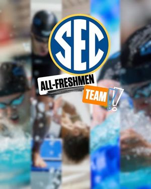 Image post by @vol_swimdive on Instagram