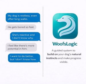 Image post by @woofs.logic.app on Instagram