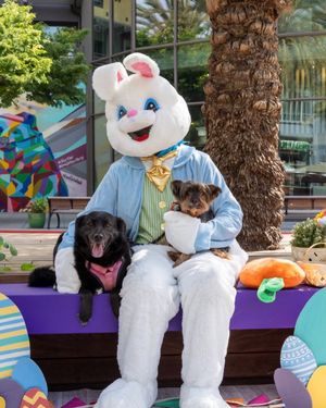 Image post by @santanarow on Instagram