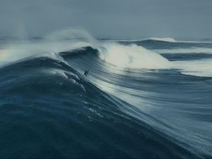 Image post by @reddigitalcinema on Instagram