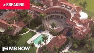Video post by @msnbc on YouTube