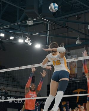 Image post by @utepvb on Instagram