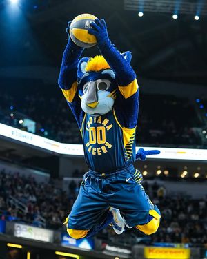 Image post by @pacersboomer on Instagram
