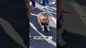 Video post by @Sporting News on YouTube