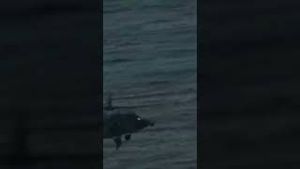 Video post by @firstcoastnews on YouTube