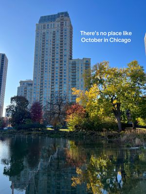 Video post by @chicago.by.ren on TikTok