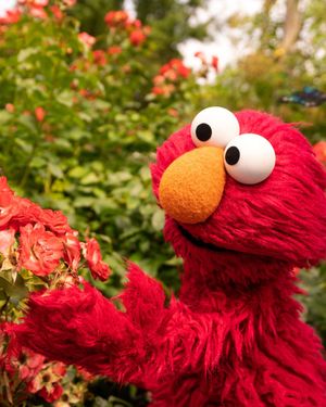Image post by @sesamestreet on Instagram