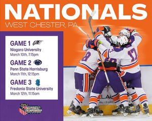 Image post by @clemsonicehockey on Instagram