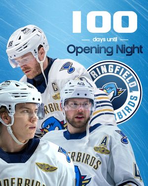 Image post by @ThunderbirdsAHL on Twitter