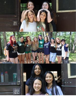 Image post by @campmatollionequay on Instagram