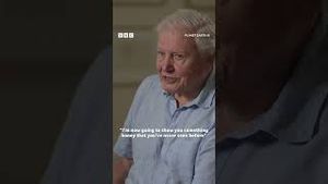 Video post by @bbcearth on YouTube