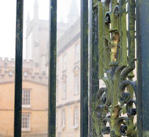 Image post by @oxford_uni on Instagram