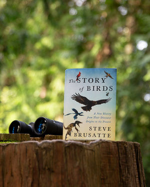 Image post by @harpercollins on Instagram