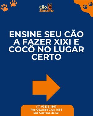Image post by @adestradores.caosincero on Instagram