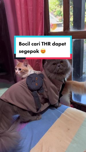 Video post by @rinarstn on TikTok