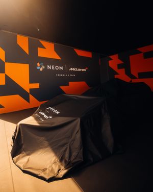 Image post by @mclarenfe on Instagram