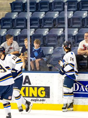 Image post by @sfstampede on Instagram