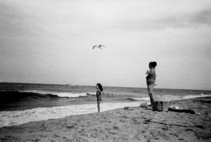 Image post by @dfmcneil on Instagram