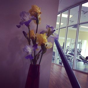 Image post by @bodydynamicsinc on Instagram