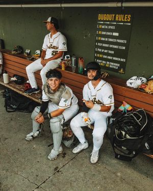 Image post by @normal_baseball on Instagram