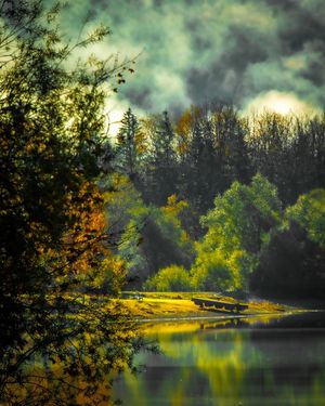 Image post by @cristan.nature.photography on Instagram