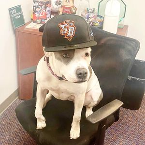 Image post by @66ersbaseball on Instagram