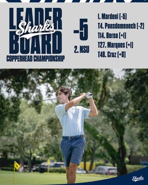 Image post by @nsu_mgolf on Instagram