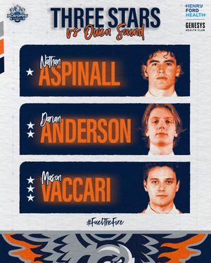 Image post by @FlintFirebirds on Twitter