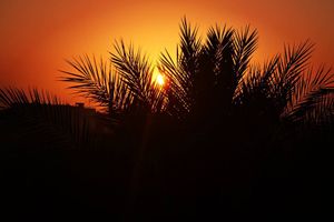 Image post by @faragelo22 on Instagram