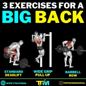 Image post by @thetrainingmanual on Instagram