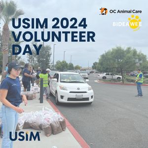 Image post by @theusimmedia on Instagram