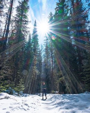 Image post by @jfriedrich on Instagram