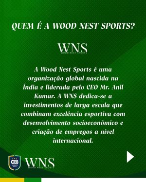 Image post by @basquetebrasil on Instagram
