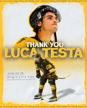 Image post by @bulldogsohl on Instagram