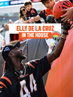 Image post by @bengals on Instagram