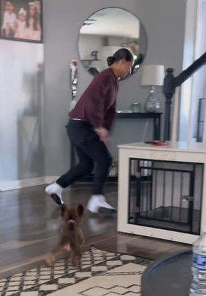 Video post by @thepuigfamily on TikTok