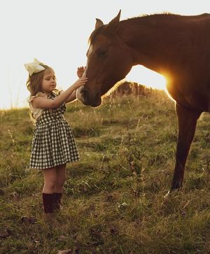 Image post by @equinecareprobiotic on Instagram