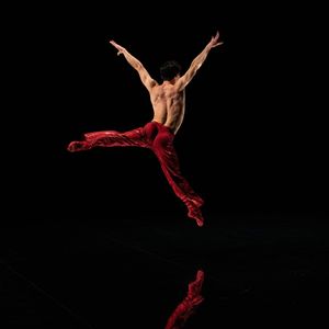 Image post by @bostonballet on Instagram