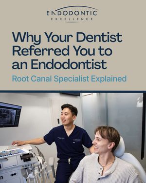 Image post by @endodontic.excellence on Instagram